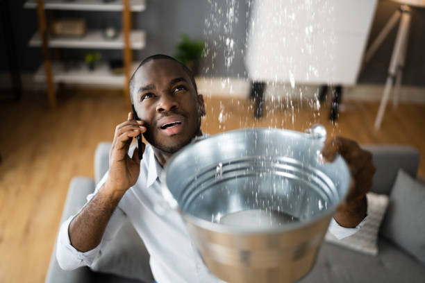 Best Water damage restoration company  in Lisbon, ME