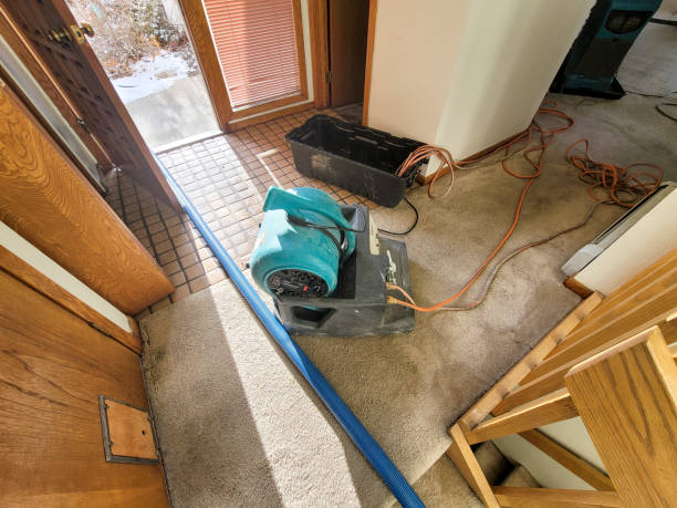 Best Water damage restoration near me  in Lisbon, ME