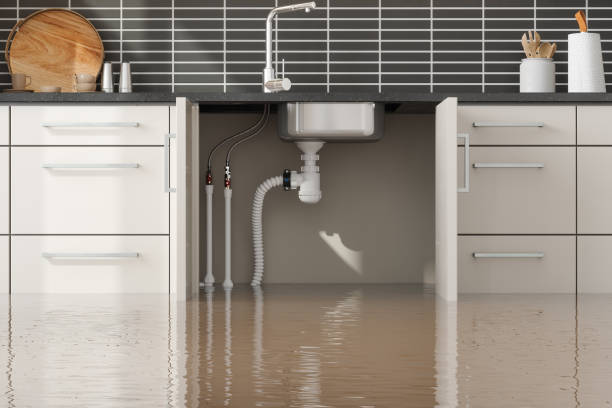 Best Water damage contractors near me  in Lisbon, ME